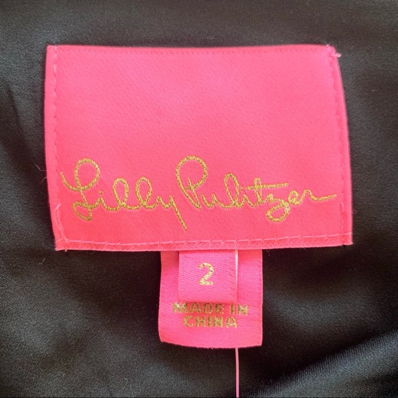 🌸New🌸 Lilly Pulitzer Maisel Silk Dress Sz 2 NWT - Picture 7 of 15